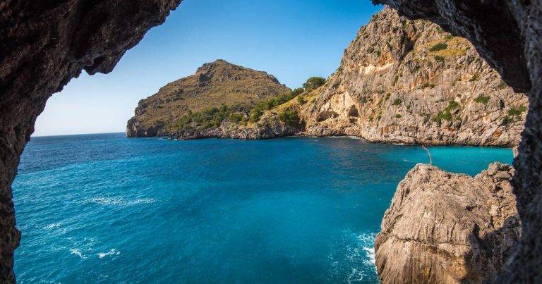 Smart Computers And New Robots For Everyone