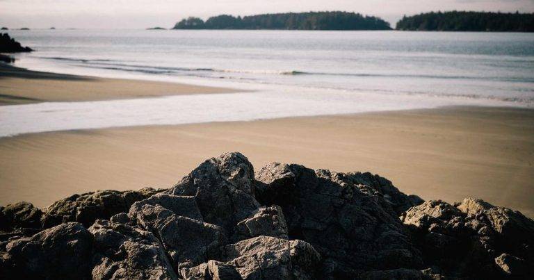 New Green Machines Save The Earth